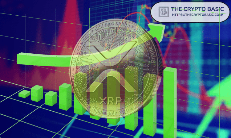 山寨币暴涨之后比特币大跌了吗 | 比特币异动与山寨币行情关联性解析
