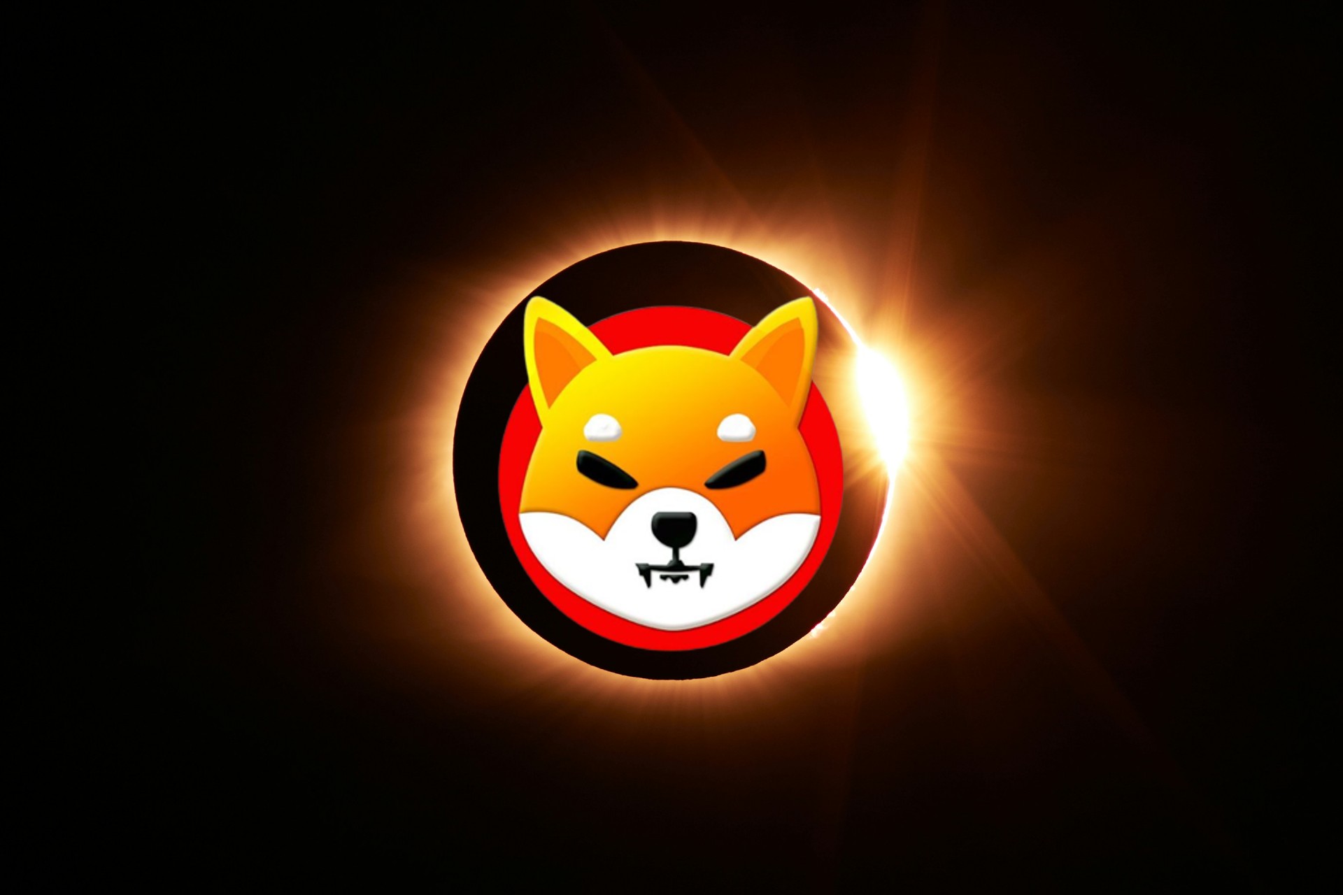 比特币买入起点解析 | 小额资金入场策略探讨
