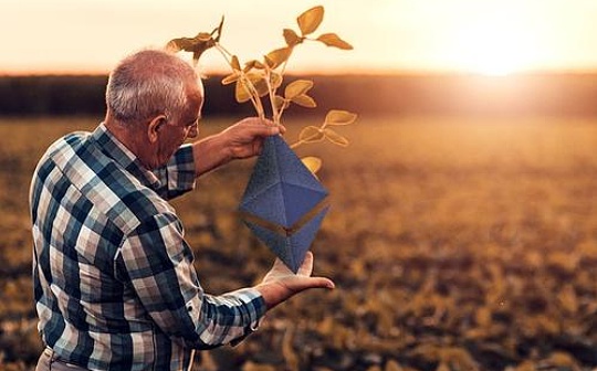 比特币市值占比涨至高点分析｜比特币在数字货币中主导地位展望

