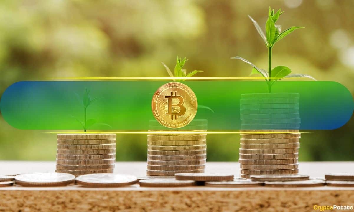 ERC20网络K豆使用教程 | 数字资产转账与管理指南
