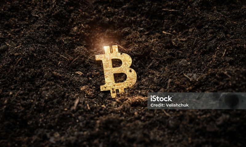 Token  钱包怎么注册？附带比特股移动钱包使用教程