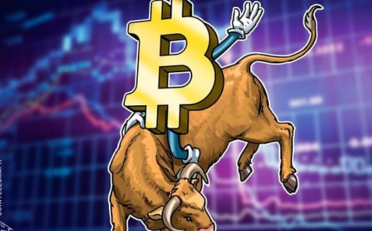 决策币功能介绍与其生态应用分析。